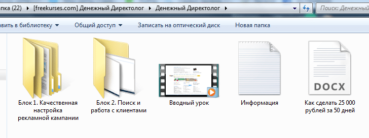 Денежный Директолог скачать