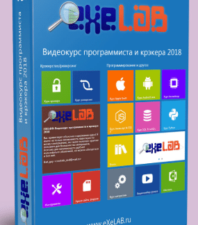 Видеокурс программиста и крекера от EXELAB. Май 2018