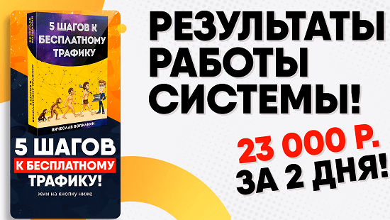 5 шагов к бесплатному трафику (Вячеслав Вопилкин)