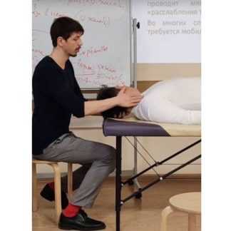 [Александр Березовский] Дисфункция головного мозга (2025) [Kinesioprofi]