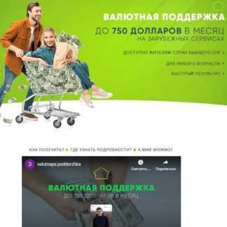 [Александр Ханин] Валютная поддержка (2020)