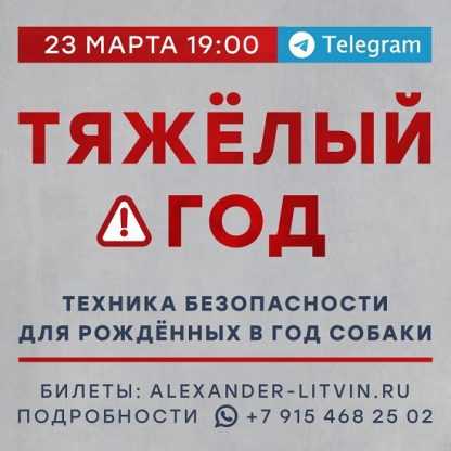 [Александр Литвин] Тяжелый год. Техника безопасности для рожденных в год Собаки (2024)