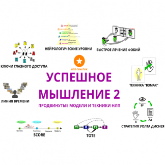[Александр Любимов] Успешное мышление 2 (2024) [НЛП-практик]