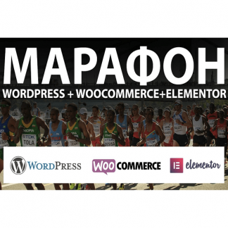 [Александр Сокирка] Марафон по WordPress + WooCommerce + Elementor (2021) [geniuscourses.com]