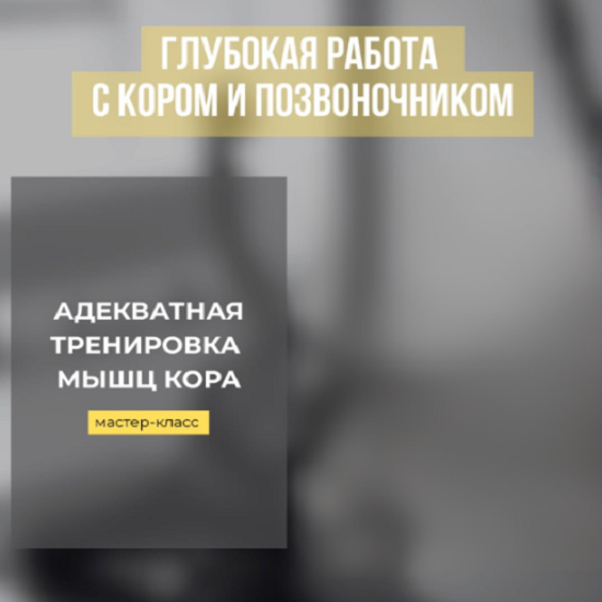 [Александр Волоткевич] Адекватная тренировка мышц кора (2025)