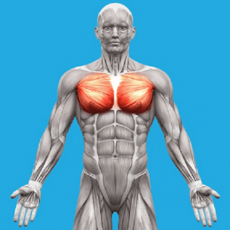 [Александр Волоткевич] Дыхание. Терапия внутренним давлением. Мьюинг. Рефлекторные техники (2025)