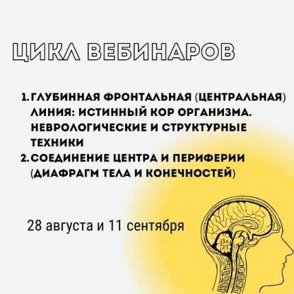 [Александр Волоткевич] Глубинная фронтальная (центральная) линия истинный КОР организма. Неврологические и структурные техники (2024)