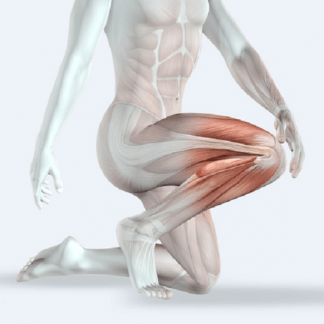 [Александр Волоткевич] Колени здоровье и биомеханика (2025)