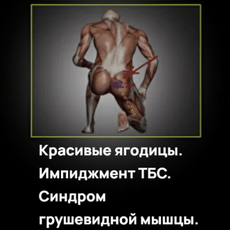 [Александр Волоткевич] Красивые ягодицы. Импиджмент ТБС. Синдром грушевидной мышцы (2025)
