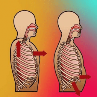 [Александр Волоткевич] Регулировка внутрибрюшного давления. Выстраивание грудной клетки над тазом. Истинный кор и плиометрика. Клеточное дыхание (2025)