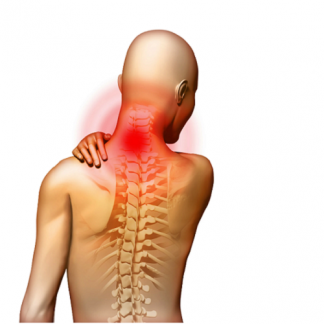 [Александр Волоткевич] Шея биомеханика и коррекция распространенных патологий. Холка. Протракция. Неспецифические боли (2025)