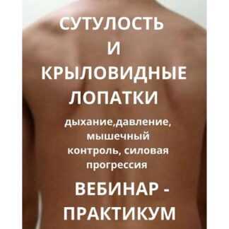[Александр Волоткевич] Сутулость и крыловидные лопатки. Дыхание, давление, мышечный контроль, силовая прогрессия (2026)
