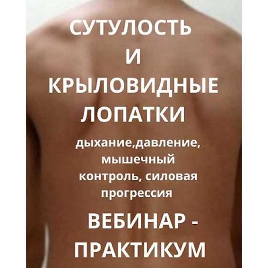 [Александр Волоткевич] Сутулость и крыловидные лопатки. Дыхание, давление, мышечный контроль, силовая прогрессия (2026)