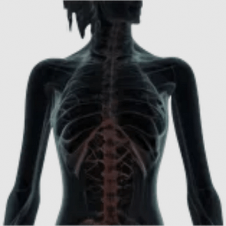 [Александр Волоткевич] Торчащие ребра биомеханика, тестирование и коррекция (2025)