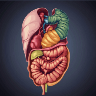[Александра Бонина] 3 практических мастер-класса по восстановлению микрофлоры кишечника (2025)