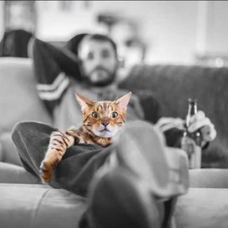 [Алексей Фалеев] Идеальная мотивация