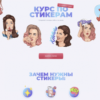 [Алина Сова] Курс по стикерам (2021)