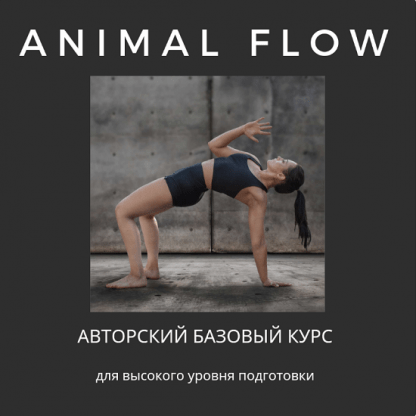 [Анастасия Канивец] Базовый курс ‌Animal Flow (2024)