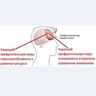 [Андрей Беловешкин] Курс Стресс. Осознанная стрессоустойчивость (2019)