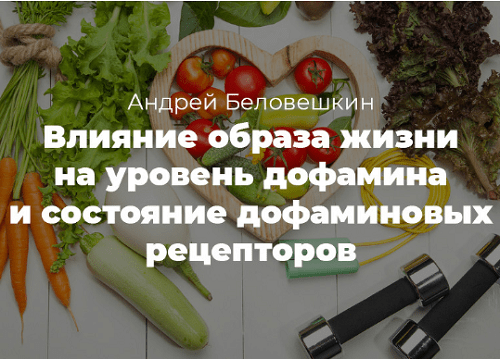 [Андрей Беловешкин] Нейробиология дофамина. Дофаминовый майнинг (2020)