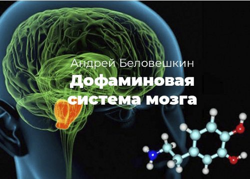 [Андрей Беловешкин] Нейробиология дофамина. Дофаминовый майнинг (2020)