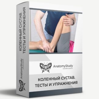 [Андрей Богатырев] Коленный сустав. Тесты и упражнения (2026)