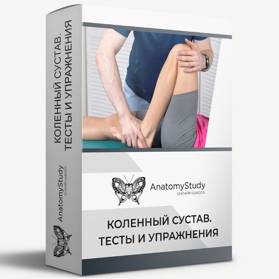 [Андрей Богатырев] Коленный сустав. Тесты и упражнения (2026)