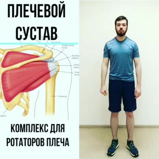[Андрей Богатырев] Плечевой сустав. Тесты и упражнения (2020)