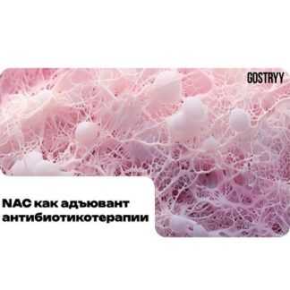 [Андрей Гострый] NAC как адьювент антибиотикотерапии (2026)