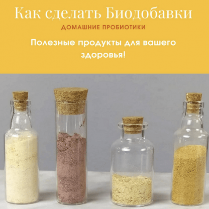 [Анна Fermenterra] Как сделать биодобавки. Домашние пробиотики (2023) [Fermenterra]