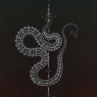 [Анна Иньская] Посвящение Нагов (2023) [Дом странников]