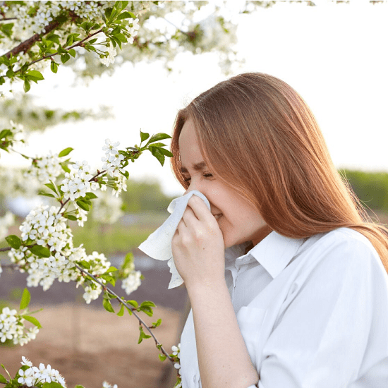 [Анна Павлычева] Гид по поллинозу (2024)