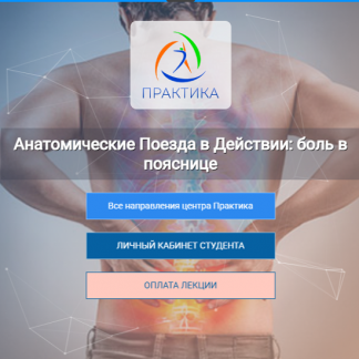 [Анна Щербина] Анатомические поезда в действии боль в пояснице (2025) [Центр Практика]