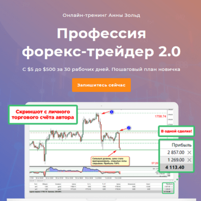 [Анна Зольд] Профессия форекс-трейдер 2.0 (2020)