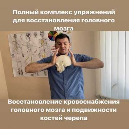 [Антон Алексеев] Полный комплекс упражнений для восстановления головного мозга. Восстановление кровоснабжения мозга и подвижности костей черепа (2023)