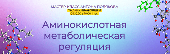 [Антон Поляков] Аминокислотная метаболическая регуляция