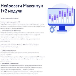 [Арина Веспер] Нейросети Максимум 1+2 модули (2026) [Vesperfin]