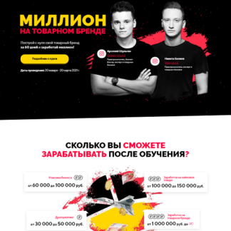 [Арсений Шульгин] Миллион на товарном бренде (2021)