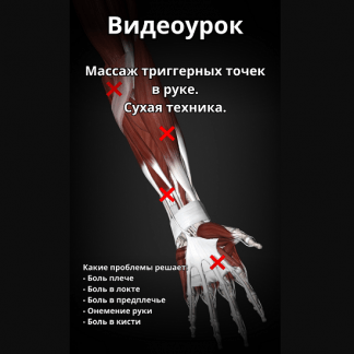 [Артем Пак] Массаж триггерных точек в руке (2024)