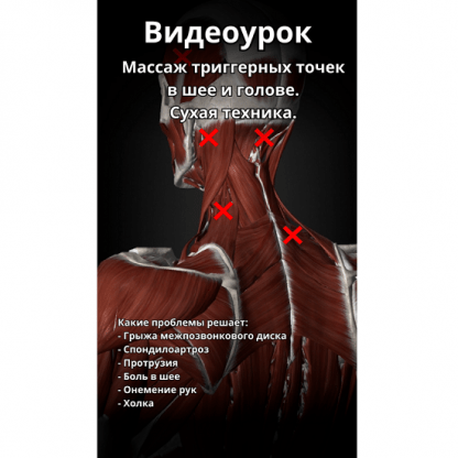 [Артем Пак] Массаж триггерных точек в шее и голове (2024)