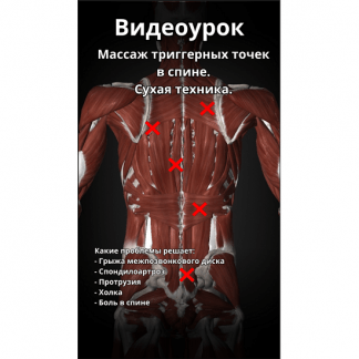 [Артем Пак] Массаж триггерных точек в спине (2024)