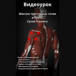 [Артём Пак] Массаж триггерных точек в плече (2024)