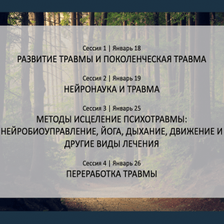 [Бессел Ван Дер Колк] Курс о психотравме и её лечении (2021)