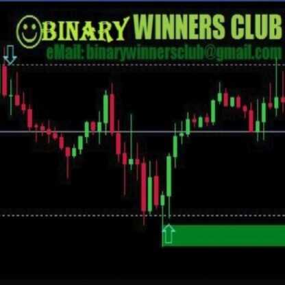 [Binary Winners Club] Стратегия для бинарных опционов Pro ITM Miner (VIP Edition) (2019)