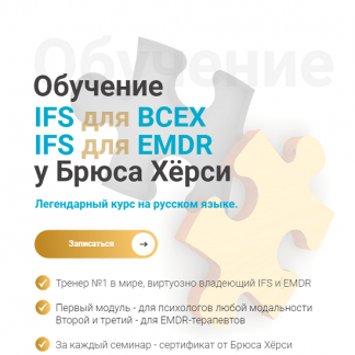 [Брюс Хёрси] Основы терапии внутренних семейных систем (IFS) для всех. 1-й модуль (2023) [EMDR KZ]