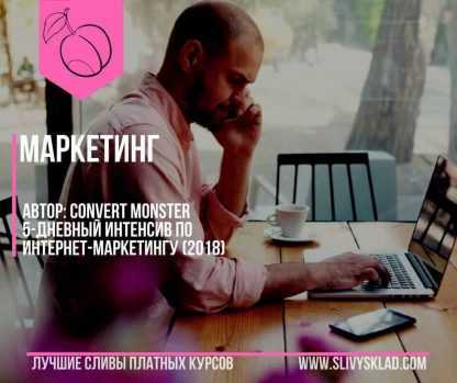 [Convert Monster] 5-дневный интенсив по интернет-маркетингу скачать