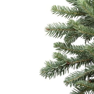 [Дамира Баймирзаева] Аутофагия. Быстрый старт (2025)