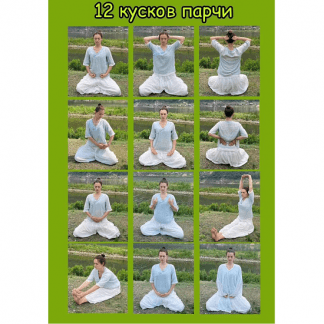 [Дарья Патока] Древний комплекс Цигун 12 Кусков Парчи (2024)