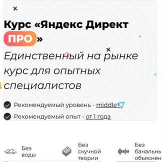 [Дарья Дейн] Яндекс Директ Про (2026)