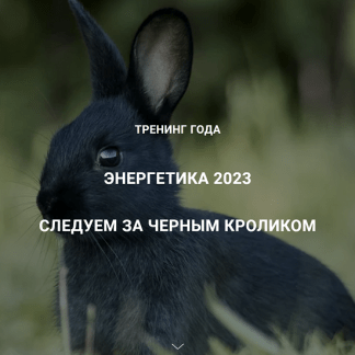 [Дмитрий Лаптев] Энергетика 2023. Следуем за черным кроликом [Дао-Сфера]